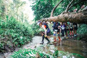 BIB: 
                            <button type="button" onclick="openModal(25472047)" class="btn btn-primary btn-sm float-right btn-popup" data-toggle="modal" data-target=".modal-high-quality">
                        <i class="fas fa-shopping-cart"></i> Add to Cart
                    </button>
                                            <button type="button" onclick="isThisMe(25472047, true)" class="btn btn-success btn-sm float-right btn-popup btn-isme hidden" data-toggle="tooltip" data-placement="bottom" title="นี่คือรูปของคุณใช่ไหม คลิกที่นี่เพื่อเอาเข้าอัลบั้ม">
                        <i class="fas fa-plus"></i> Add to album
                    </button>
                    <button type="button" onclick="isThisMe(25472047, false)" class="btn btn-warning btn-sm float-right btn-popup btn-isnotme hidden">
                        <i class="fas fa-ban"></i> Remove from album
                    </button>